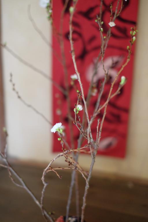 Kanazawa Tabi-Ne Extérieur photo